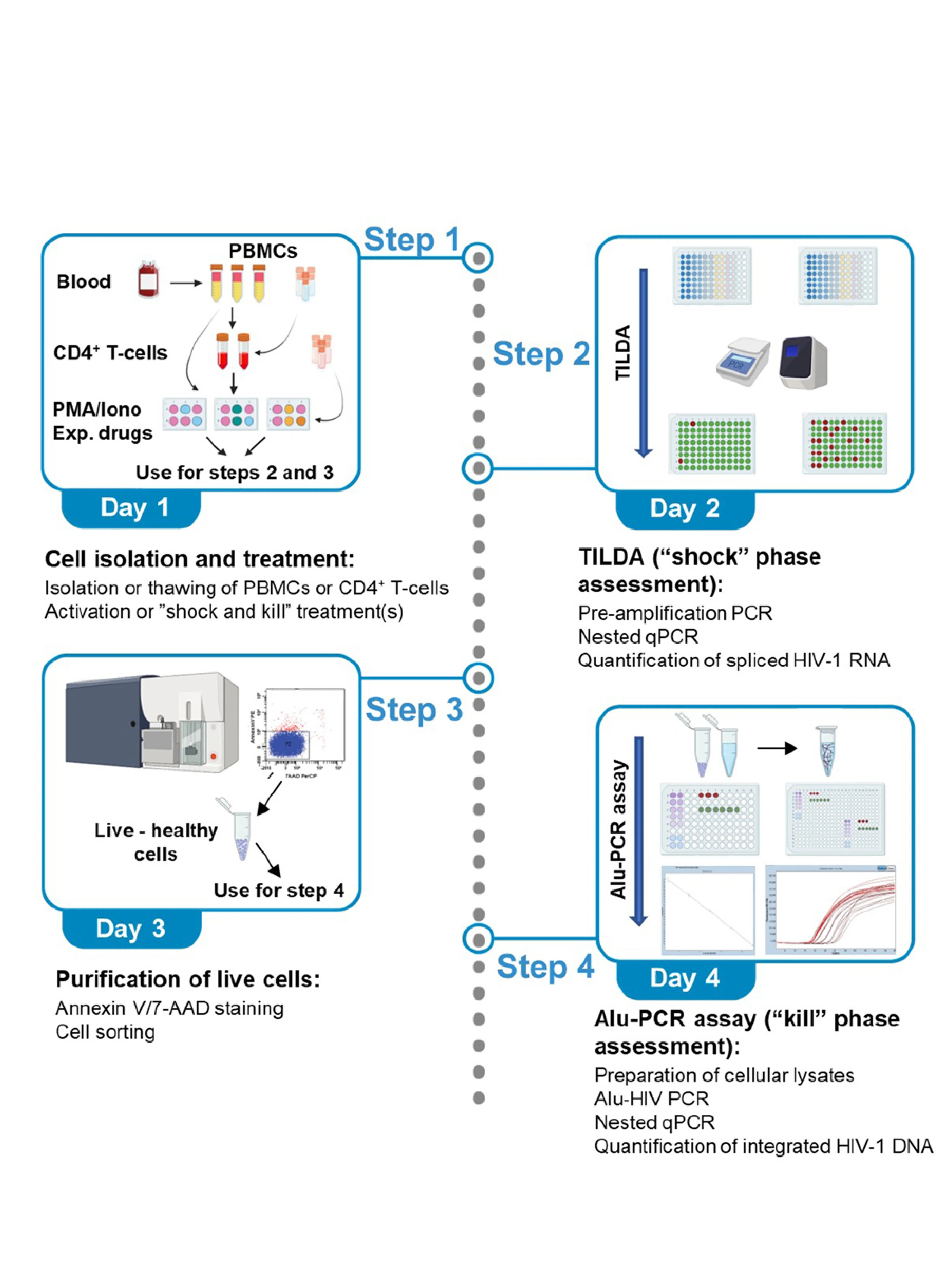 STAR Protocol Research Graphic