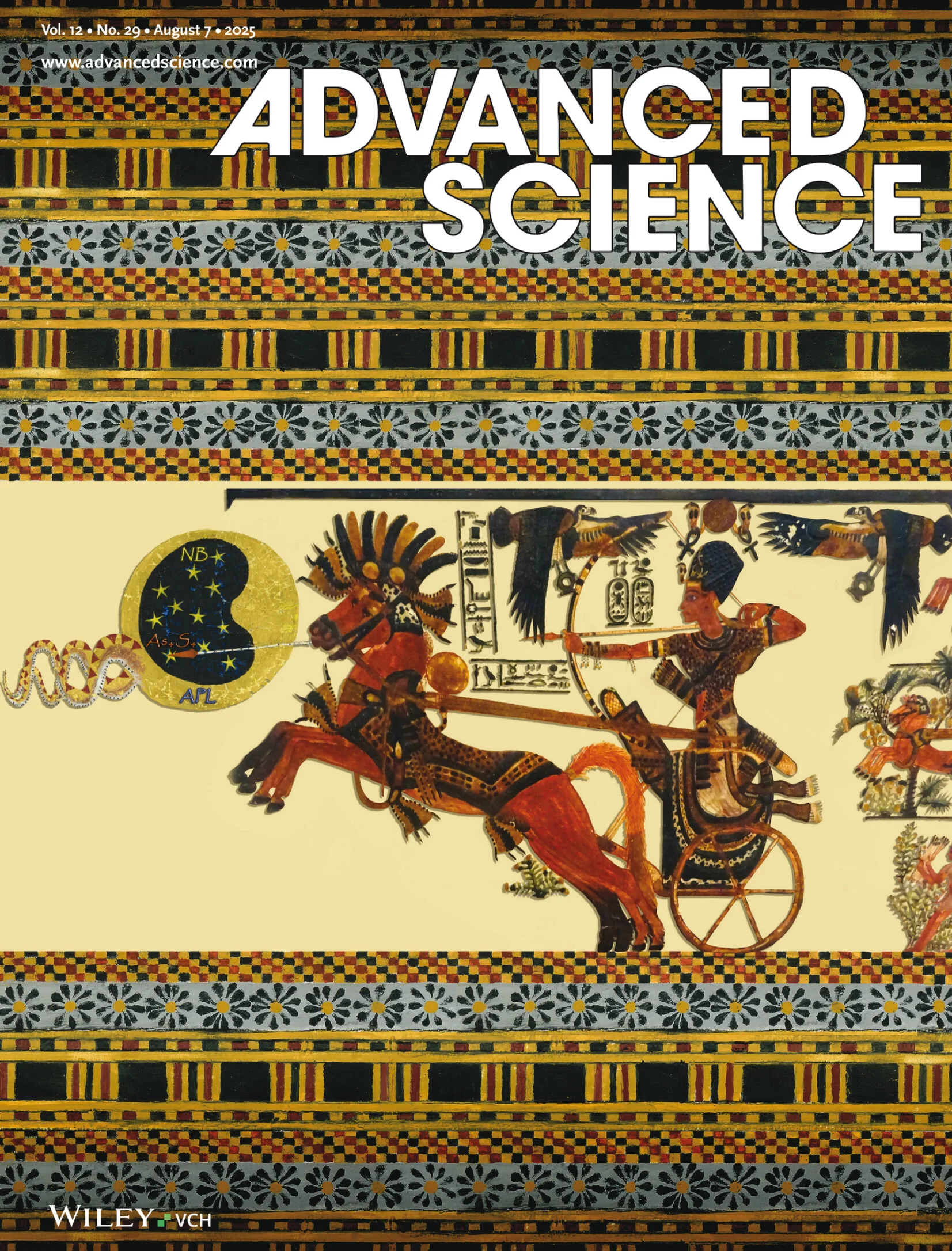 Adv Sci 2025 Graphic